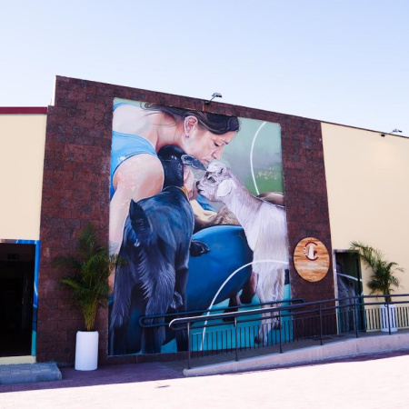 El Centro de Interpretación del Queso y el Pastoreo de La Gomera se consolida como referente con más de un millar de visitantes