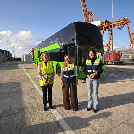La primera guagua de dos pisos ya está en Tenerife y cubrirá el trayecto que une Santa Cruz y Costa Adeje