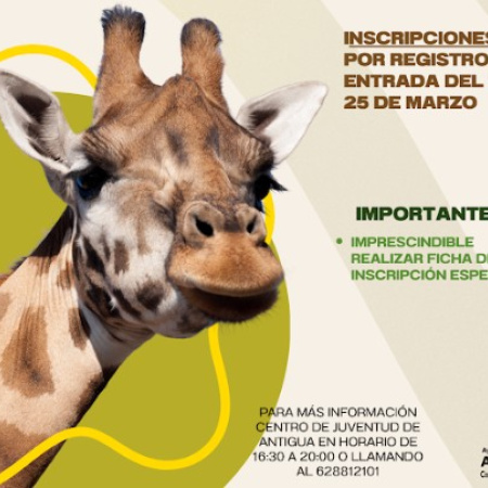 Antigua impulsa los talleres creativos y excursiones entre los jóvenes