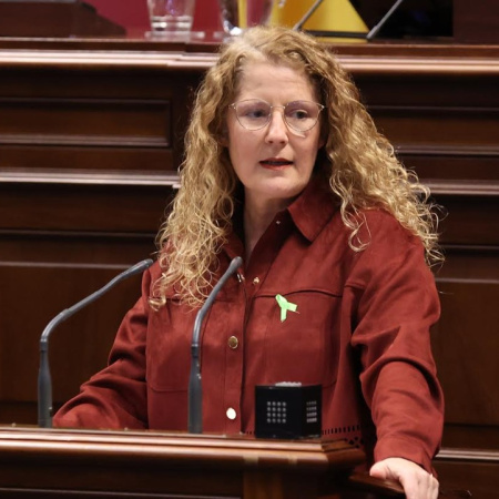 El PP lleva al Parlamento ampliar los plazos de ejecución de los fondos Next Generation para la energía sostenible en Canaria