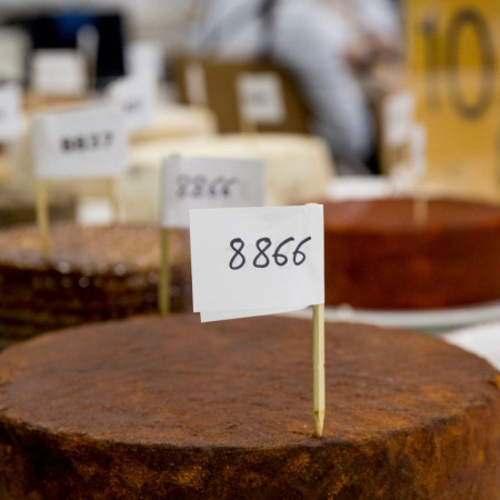 Cinco quesos canarios aspiran a convertirse en el mejor de España según el jurado de Gourmets 2026