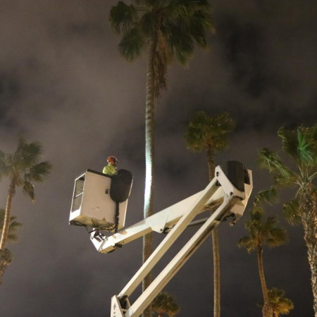 Parques y Jardines de Las Palmas de Gran Canaria finaliza sus intervenciones en la mediana de la Avenida Marítima