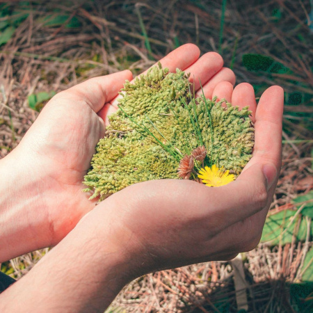La ACIISI financia el proyecto Ecolab para promover la inclusión a través de la sostenibilidad ambiental