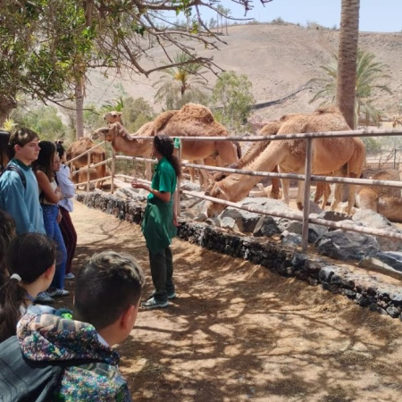 Antigua impulsa las excursiones y actividades gratuitas para jóvenes del Municipio