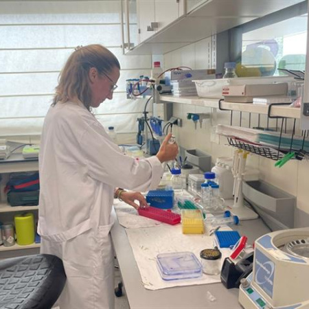 El mercado laboral supera en marzo la barrera de los 22 millones de afiliados a la Seguridad Social en términos desestacionalizados