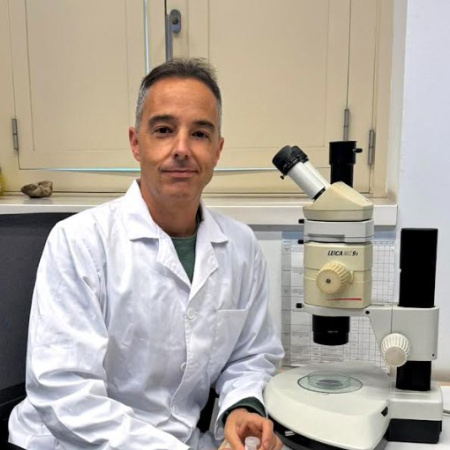 Museos de Tenerife nombra a Alejandro de Vera Hernández nuevo director del Museo de Ciencias Naturales