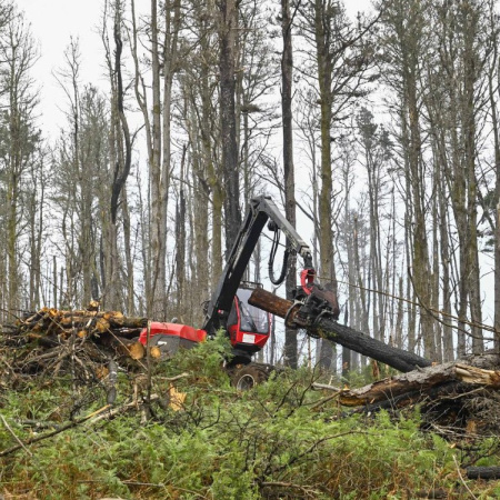 El Cabildo de Tenerife refuerza al Sector Primario con el reparto gratuito de astilla forestal