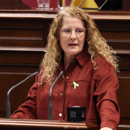 El PP lleva al Parlamento ampliar los plazos de ejecución de los fondos Next Generation para la energía sostenible en Canarias