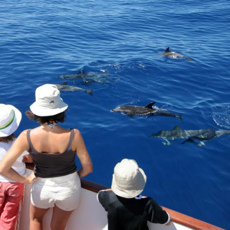La Gomera cierra una temporada de invierno histórica con más gasto turístico y el 95% de ocupación