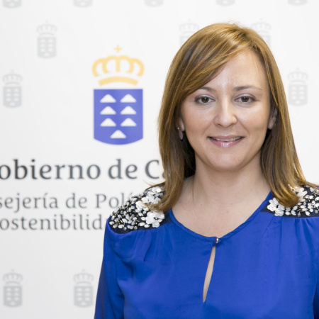 El Gobierno canario, abierto a estudiar teletrabajo y suspensión de clases si mejora la seguridad en la visita del Papa