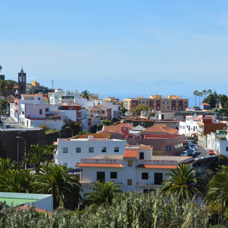 El Cabildo de Tenerife probará sus capacidades extinción y seguridad en un simulacro de interfaz urbano-forestal en La Guancha