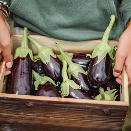 Las berenjenas, el producto agrícola que más ha subido su precio en origen durante el último año en Canarias