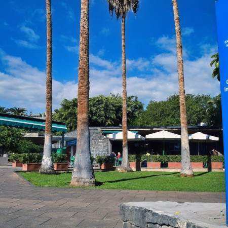 Santa Cruz consolida su transformación digital en la atención a la ciudadanía