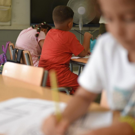 El Consejo Escolar de Canarias pide un "cambio estructural" en la educación ante la caída de la natalidad