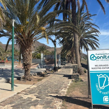 El Cabildo, desde ‘Fuerteventura, bonita por naturaleza’, poda 180 palmeras del parque Félix López de Gran Tarajal