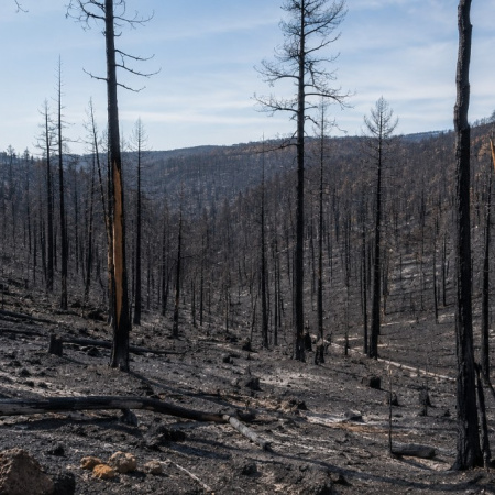 El Gobierno de España adelanta al 1 de junio el comienzo de la campaña estatal contra los incendios forestales