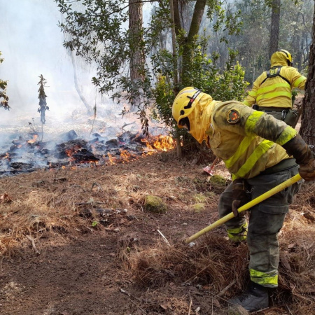Canarias activa este lunes la campaña contra incendios forestales de 2026: Más de 2.600 efectivos y 19 medios aéreos
