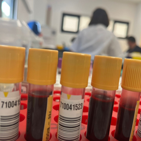 Sanidad comienza a administrar la terapia génica para la Hemofilia B