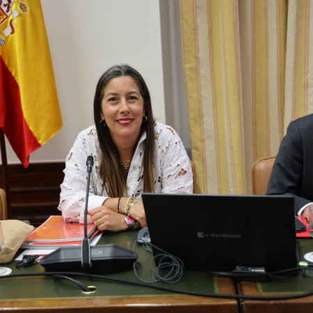 El PSOE pide que la financiación récord de Canarias llegue a la vivienda y los servicios públicos