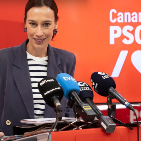 El PSOE destaca que no se ha registrado ningún caso de hantavirus en Canarias tras concluir la cuarentena del crucero Hondius