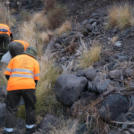 El Cabildo de La Gomera supera los dos millones de inversión en actuaciones para el control de especies exóticas
