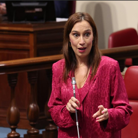 Fierro: “La igualdad de oportunidades en las aulas no puede depender de la desidia de este Gobierno”