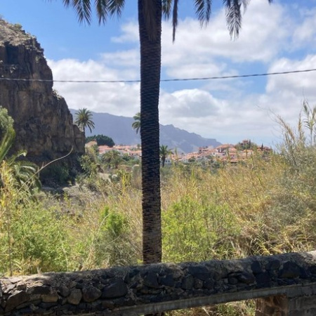 Canarias activa la situación de alerta por riesgo de incendio forestal en Gran Canaria