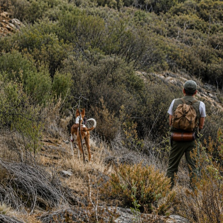 El Cabildo de La Gomera aprueba el calendario de caza con escopeta a partir del 13 de septiembre