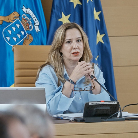 Tenerife lamenta las "demoras" del Estado al impulso del Centro Nacional de Vulcanología y el recorte de su financiación