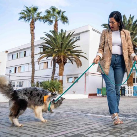 Los perros animarán a la lectura a menores de entre 6 y 12 años en una novedosa propuesta veraniega de Cultura Arrecife