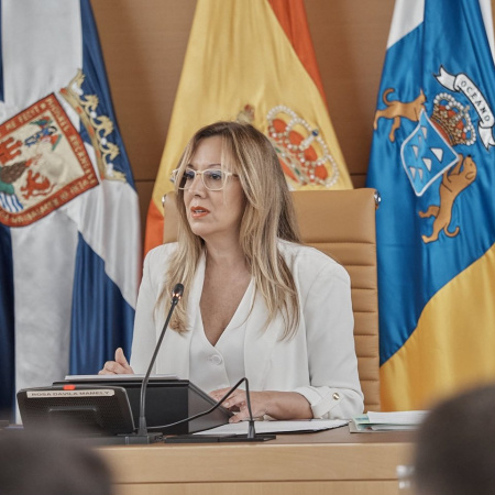 Rosa Dávila exige a Aena que revierta las limitaciones en movilidad que están creando el caos en Tenerife Sur