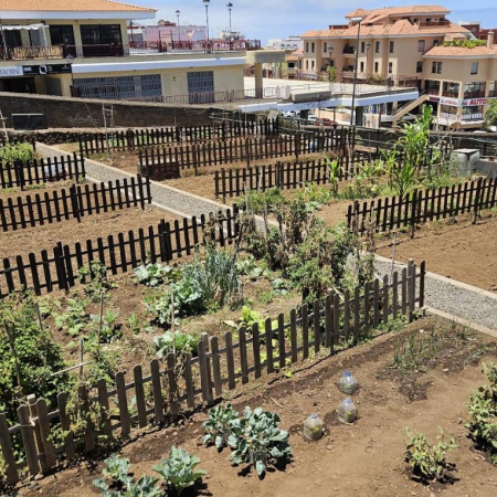 La Orotava abre el plazo para solicitar un huerto ecológico urbano municipal