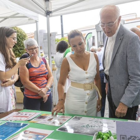 El Cabildo de Tenerife prepara dos programas para prevenir el consumo de benzodiacepinas y alcohol