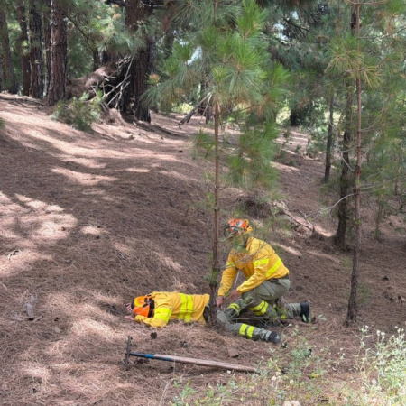 La ESSSCAN forma a bomberos forestales de La Palma en atención a personas víctimas de emergencias