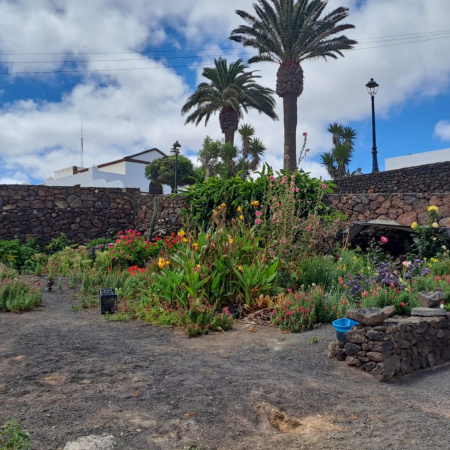 La Reserva de la Biosfera visibiliza el valor de las escuelas rurales de Lanzarote a través del documental “Manos al Huerto”