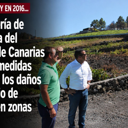 Sucedió tal día como hoy en 2016: La consejería de Agricultura del Gobierno de Canarias estudiará medidas para paliar los daños del incendio de La Palma en zonas de cultivo