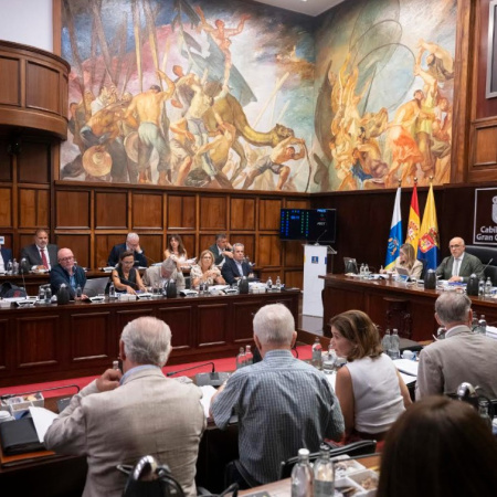 El Cabildo entra en el accionariado de la sociedad estatal INECO para agilizar la redacción y gestión de proyectos estratégicos en Gran Canaria