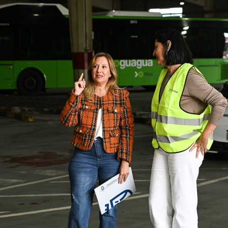 Tenerife refuerza la conexión en guagua entre Icod de los Vinos y Costa Adeje con una nueva línea más directa