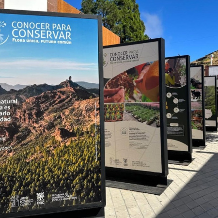 El Cabildo inicia en Artenara la campaña 'Conocer para Conservar' sobre la flora amenazada de Gran Canaria