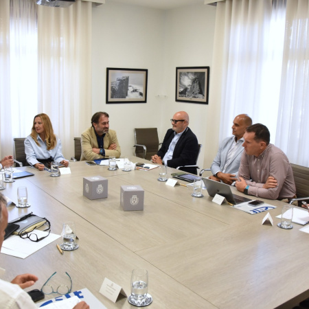 El Cabildo y el sector de las renovables acuerdan avanzar en una hoja de ruta para acelerar la transición energética de Tenerife
