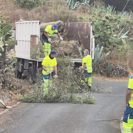 La Fase VI del Plan de Higiene Urbana de Las Palmas de Gran Canaria supera los 20.000 kilos de residuos retirados tras sus primeros tres meses