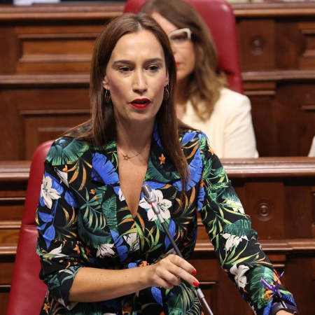 Fierro exige a Domínguez que “dé la cara” y se implique en los grandes acuerdos para Canarias