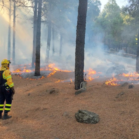 Gran Canaria pasa a época de peligro medio de incendios y vuelve a permitir las quemas agrícolas