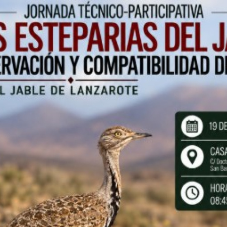 El Cabildo de Lanzarote y La Graciosa reúne a expertos y sectores del Jable para abordar la conservación de las aves esteparias