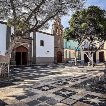 El Ayuntamiento de Las Palmas de Gran Canaria promueve la adopción responsable y el cuidado animal en ‘De patas por Vegueta’, un encuentro por el bienestar de las mascotas
