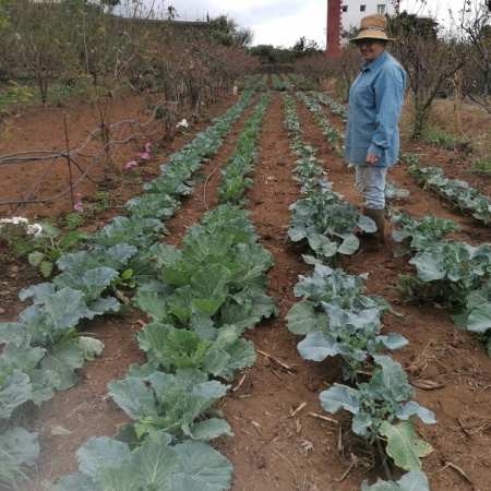 La Orotava organiza diversas actividades en octubre para dar visibilidad a la mujer rural