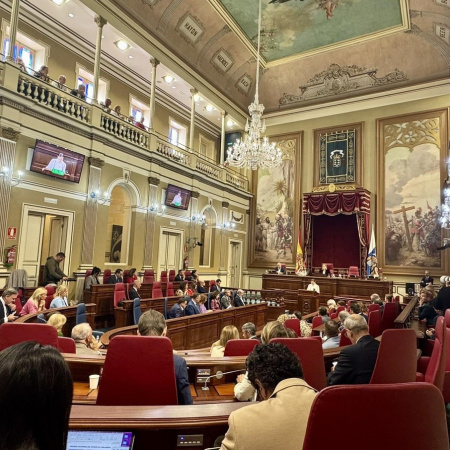 El Parlamento defiende un refuerzo militar del Estado ante los efectos de la migración irregular en Canarias