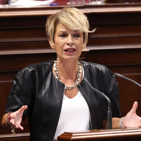 El PSOE reclama más financiación y personal para fortalecer el voluntariado en Canarias