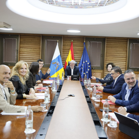 El Gobierno de Canarias aprueba varios ceses a petición propia de cargos que se presentarán al 29N